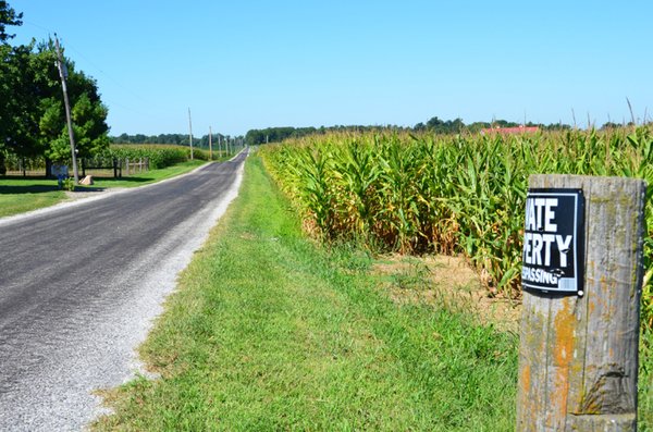 66.9+/- Acres Offered in 2 Tracts - Mostly Tillable Farmland